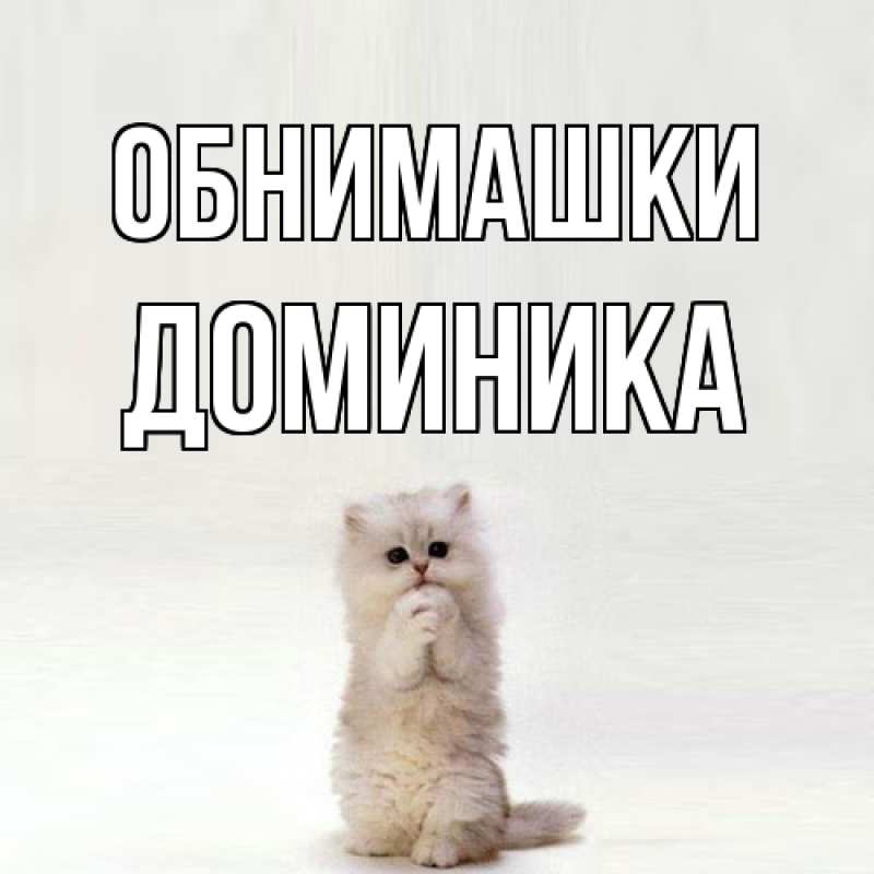 Картинка Обнимашки, Доминика