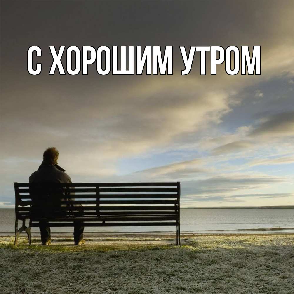 Открытка на каждый день с именем, Нестор Скучашки лавочка Прикольная открытка с пожеланием онлайн скачать бесплатно 