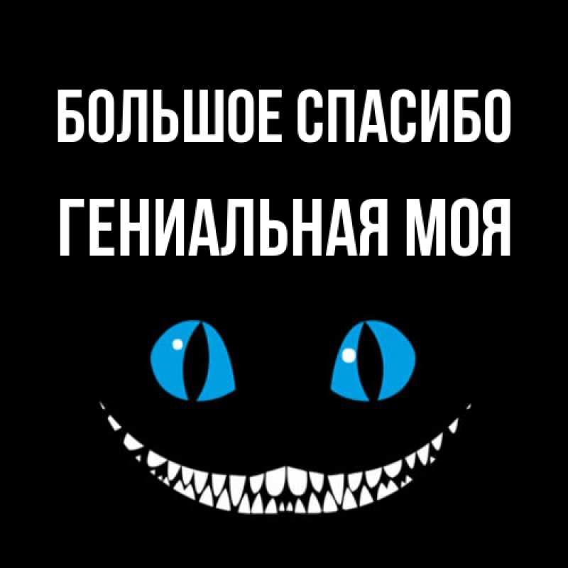 Картинка Большое спасибо, Гениальная моя