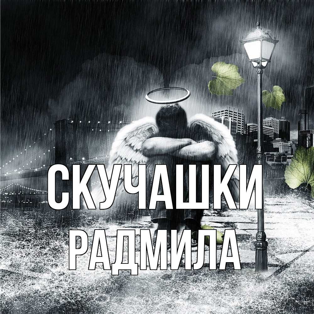 Открытка на каждый день с именем, Радмила Скучашки на улице Прикольная открытка с пожеланием онлайн скачать бесплатно 