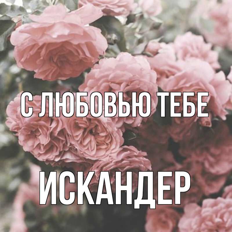 Картинка С любовью тебе, Искандер