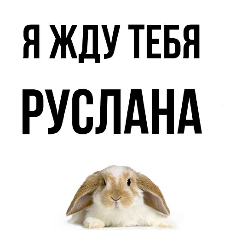 Картинка Я жду тебя, Руслана