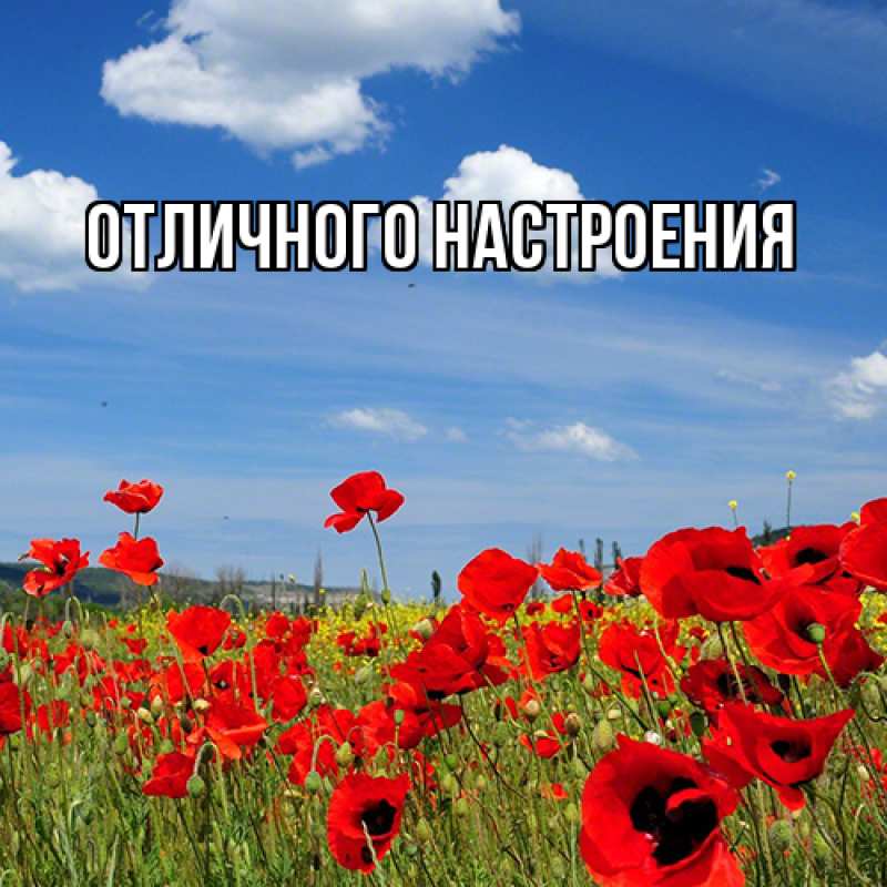 Картинка Люблю тебя, Габриэлла