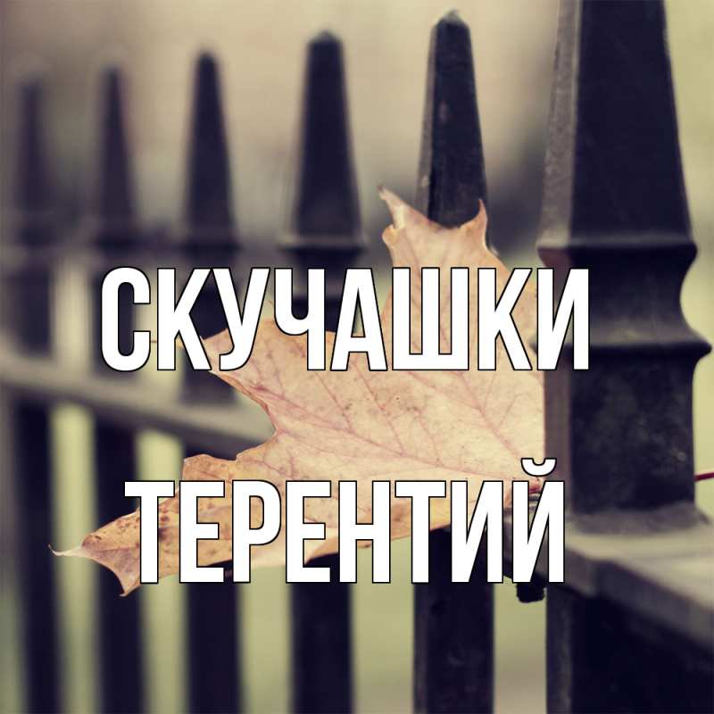 Картинка Скучашки, Терентий