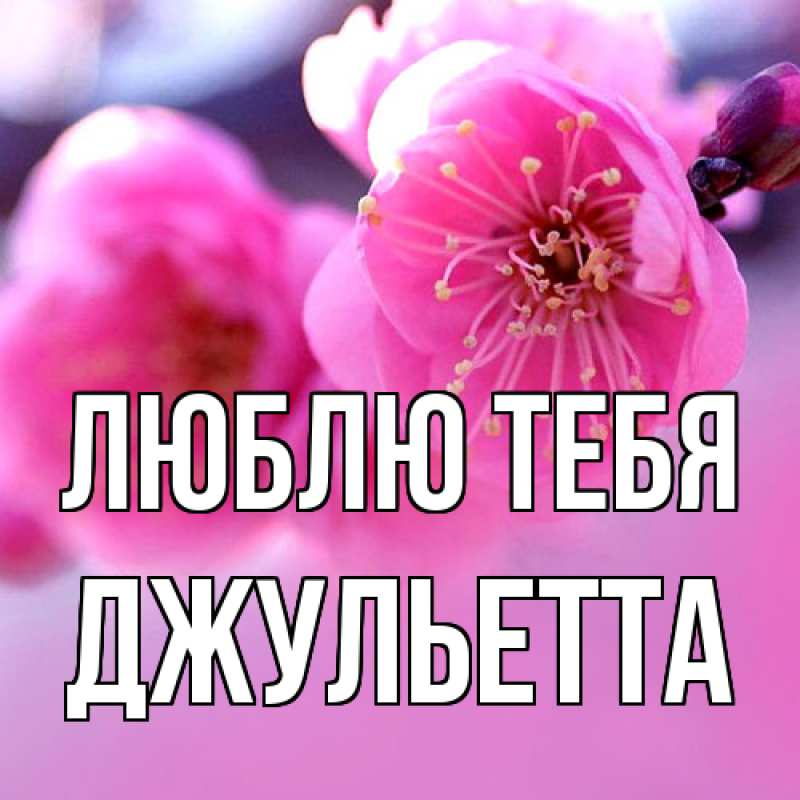 Картинка Люблю тебя, Джульетта