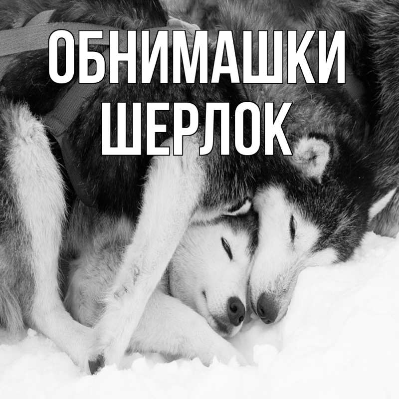 Картинка Обнимашки, Шерлок