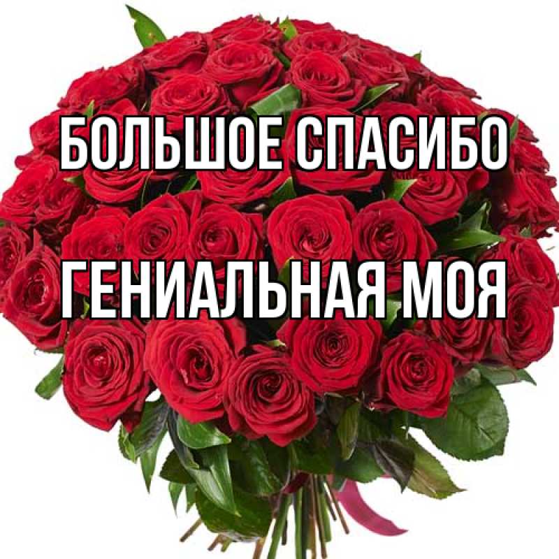 Картинка Большое спасибо, Гениальная моя