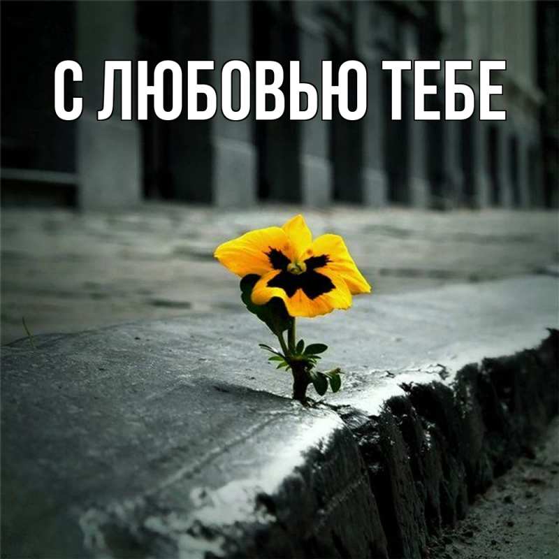 Картинка Скучашки, Денис