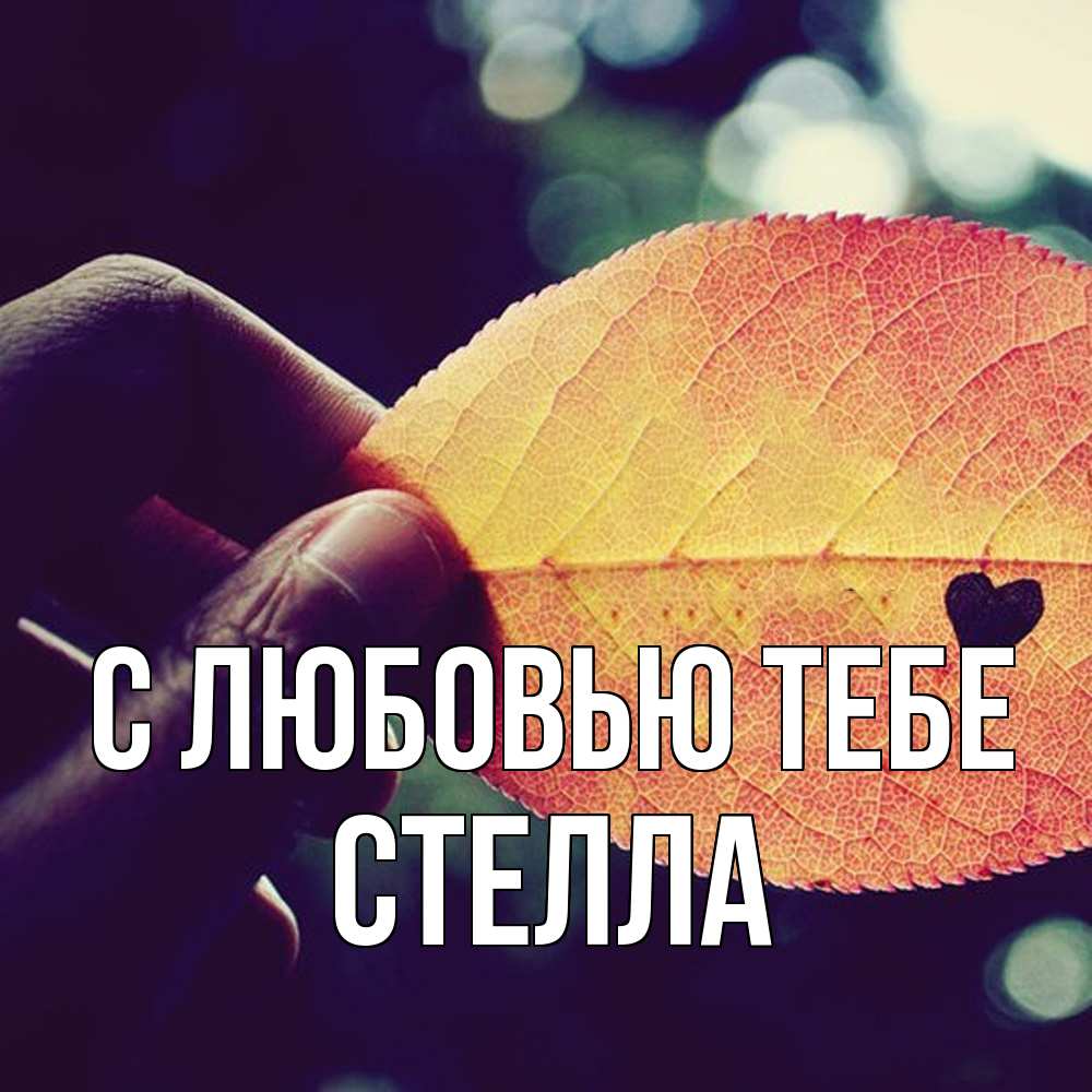 Открытка на каждый день с именем, Стелла С любовью тебе держу лист Прикольная открытка с пожеланием онлайн скачать бесплатно 