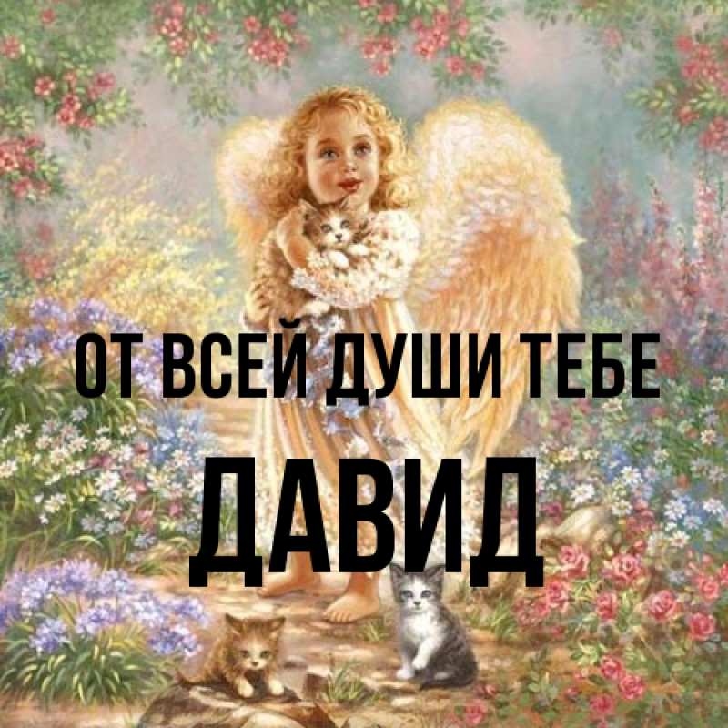 Картинка От всей души тебе, Давид