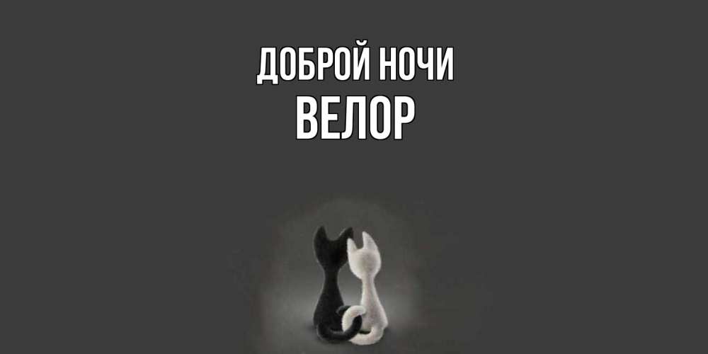 Открытка на каждый день с именем, Велор Доброй ночи коты Прикольная открытка с пожеланием онлайн скачать бесплатно 