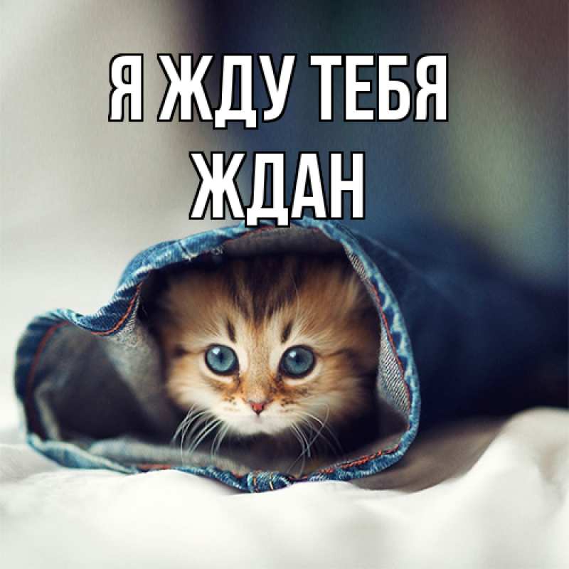 Открытка с именем, Ждан, Я жду тебя