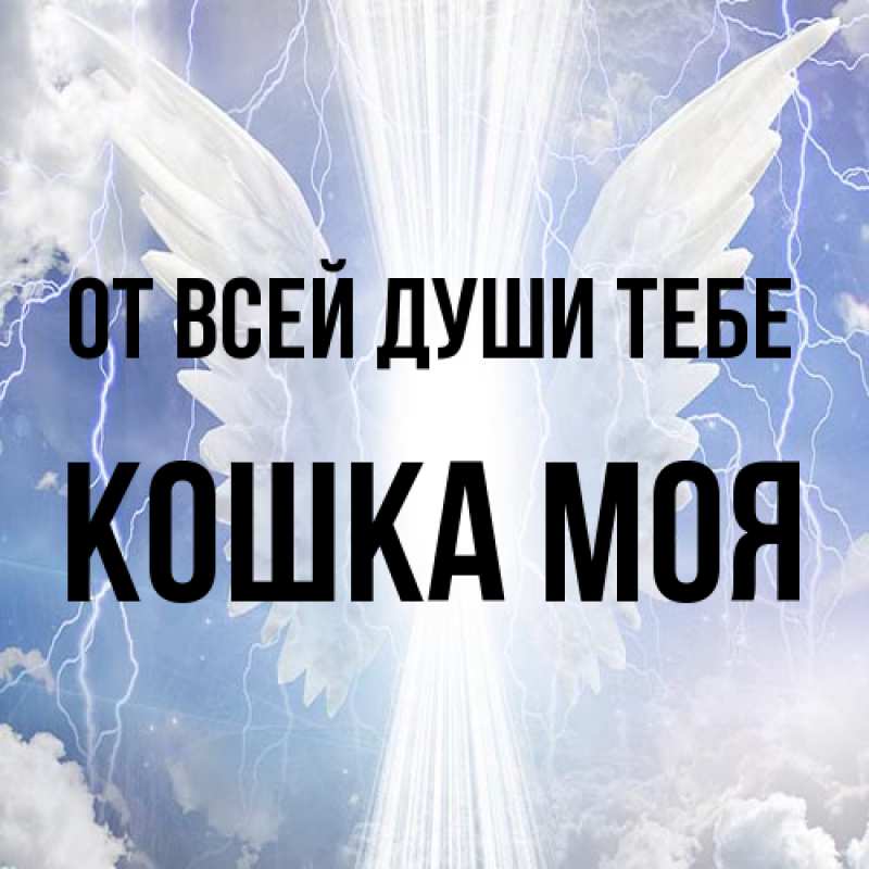 Картинка От всей души тебе, Кошка моя