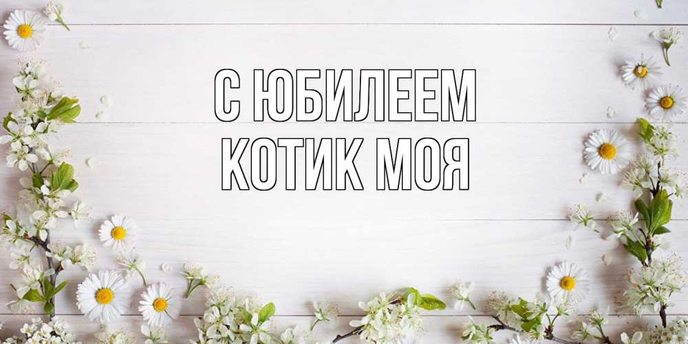 Открытка на каждый день с именем, Котик-моя C юбилеем Воздушные шары Прикольная открытка с пожеланием онлайн скачать бесплатно 