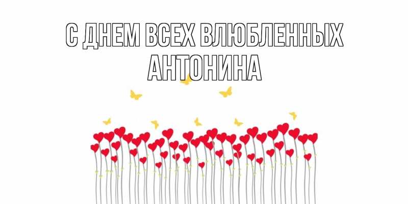 Картинка С днем всех влюбленных, Антонина