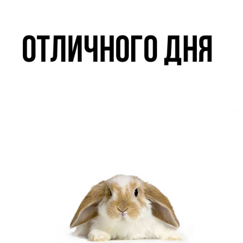 Картинка Я жду тебя, Ия