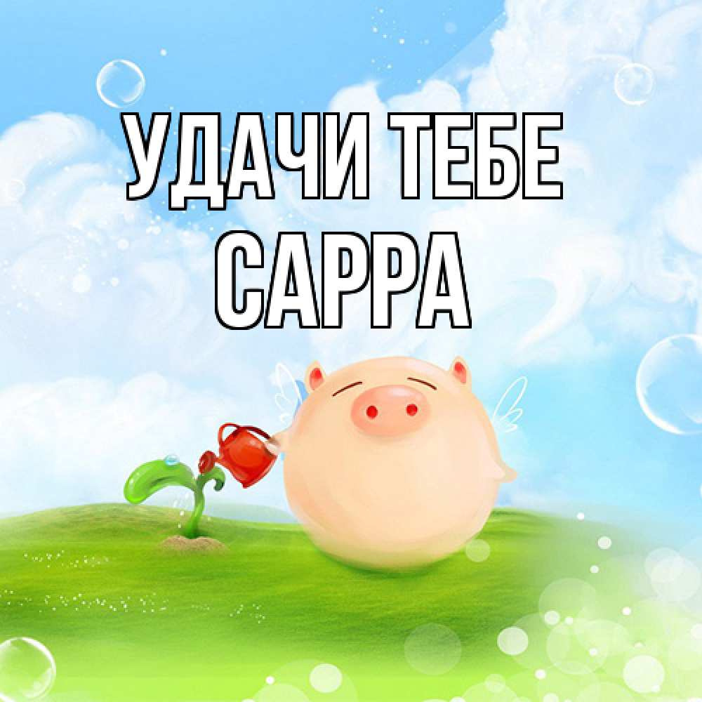 Открытка на каждый день с именем, Сарра Удачи тебе поросенок поливает цветок. летнее настроение Прикольная открытка с пожеланием онлайн скачать бесплатно 