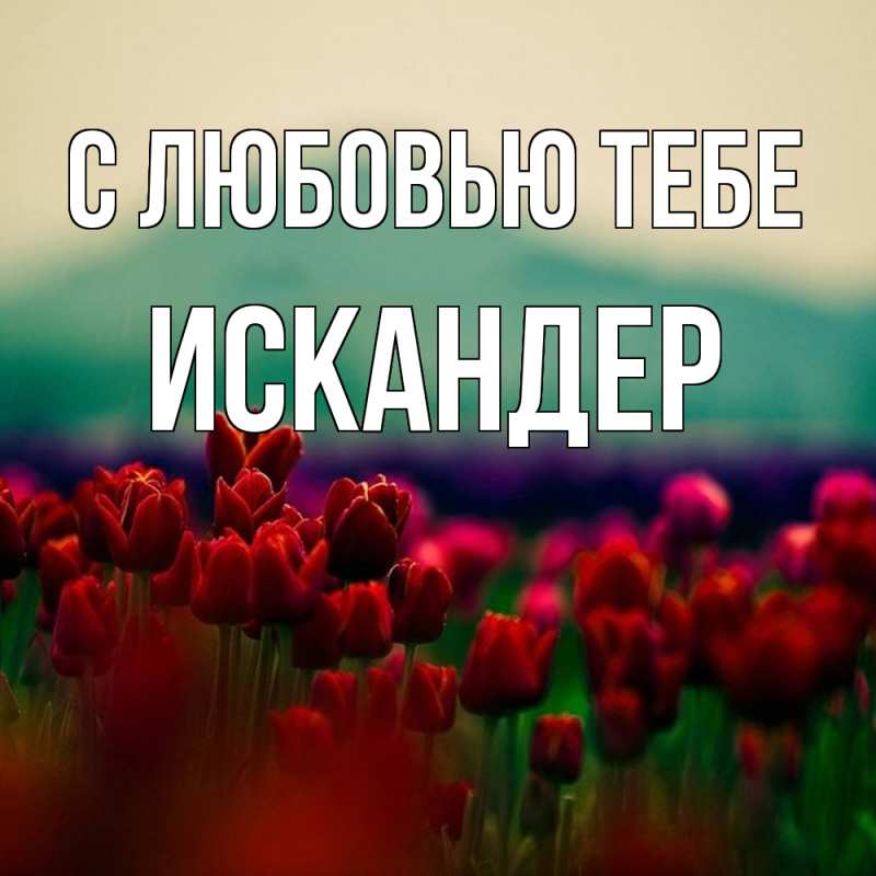 Картинка С любовью тебе, Искандер