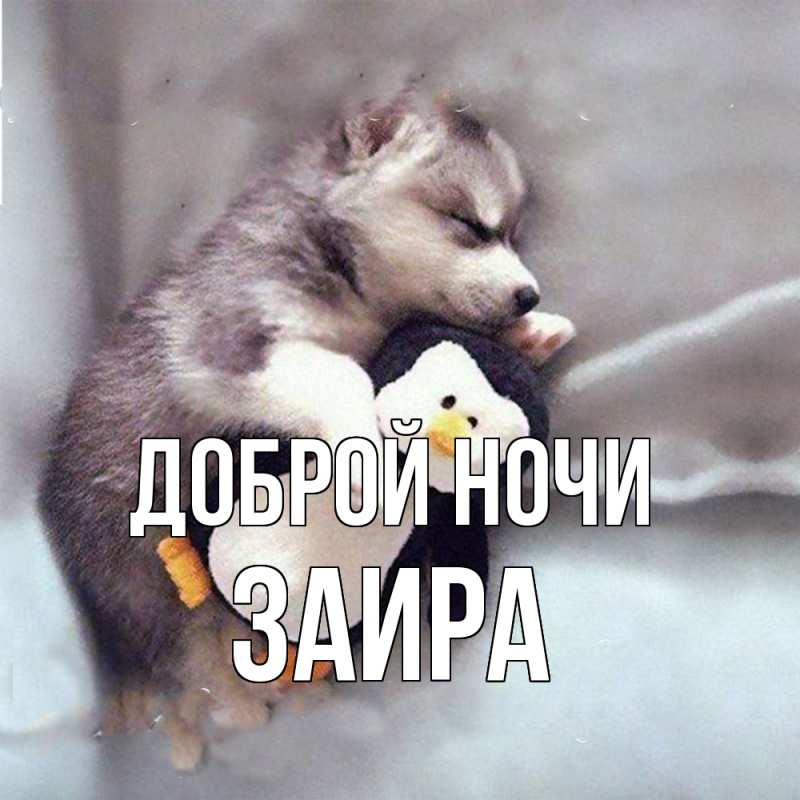 Картинка Доброй ночи, Заира