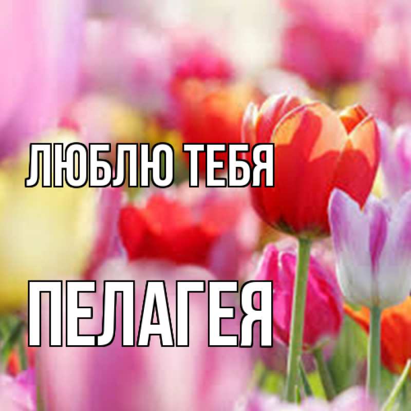 Картинка Люблю тебя, Пелагея