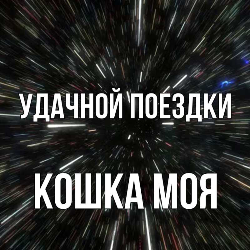 Картинка Удачной поездки, Кошка моя