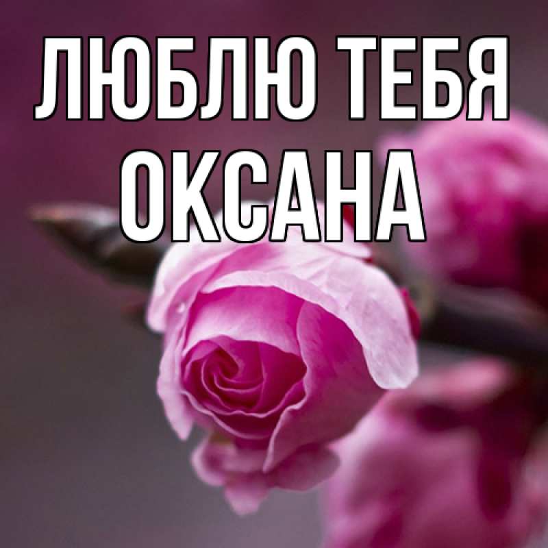 Открытка с именем, Оксана, Люблю тебя