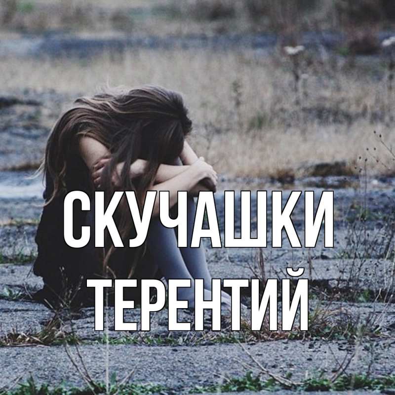 Картинка Скучашки, Терентий