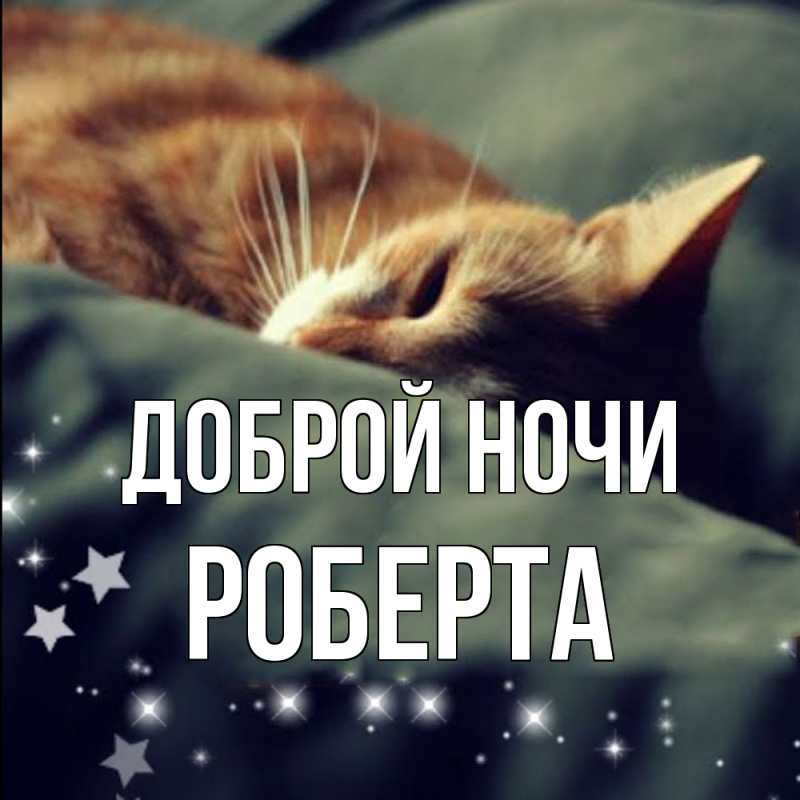 Картинка Доброй ночи, Роберта