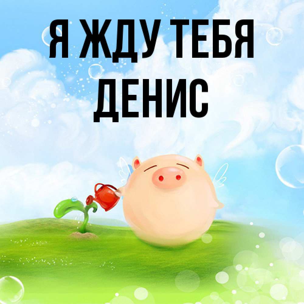 Открытка на каждый день с именем, Денис Я жду тебя позитивная свинюшка Прикольная открытка с пожеланием онлайн скачать бесплатно 