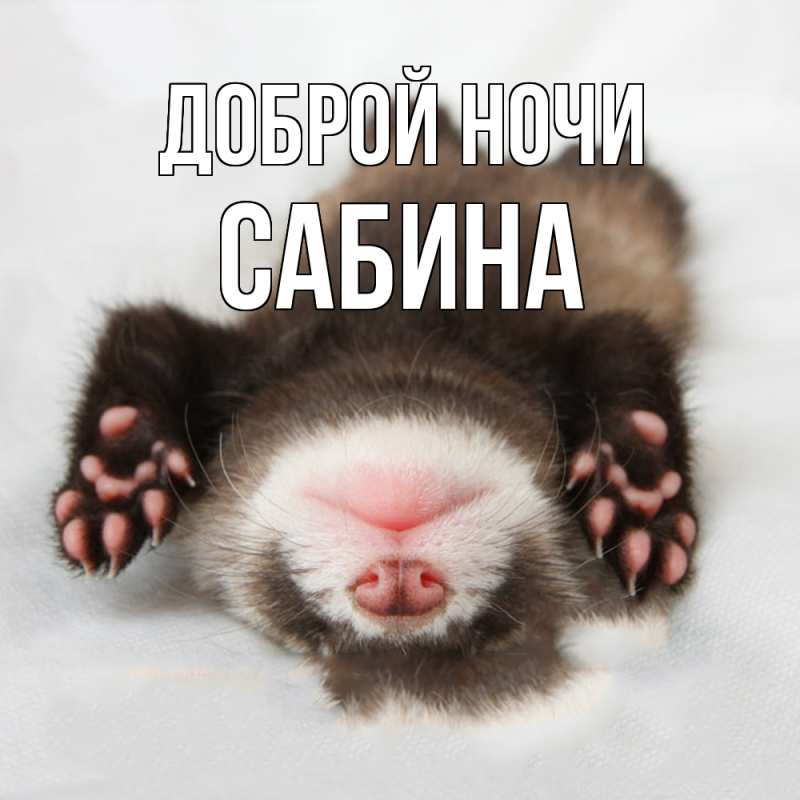 Картинка Доброй ночи, Сабина