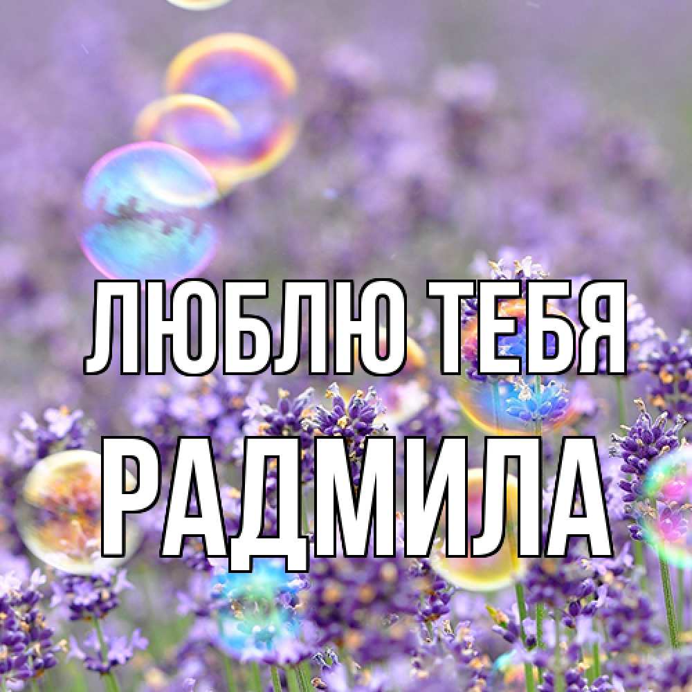 Открытка на каждый день с именем, Радмила Люблю тебя цветы Прикольная открытка с пожеланием онлайн скачать бесплатно 