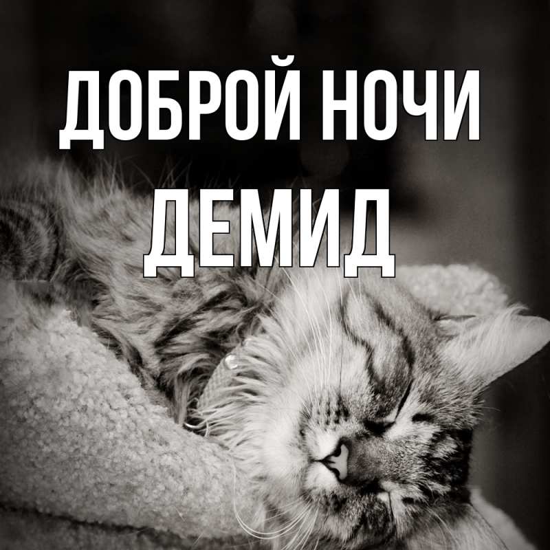 Картинка Доброй ночи, Демид