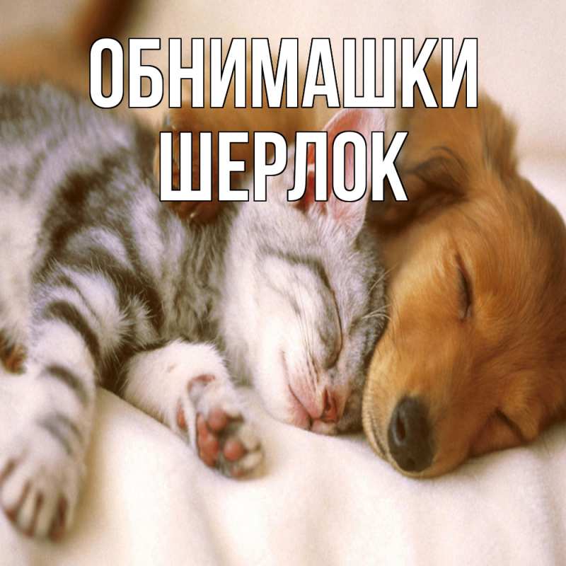 Картинка Обнимашки, Шерлок