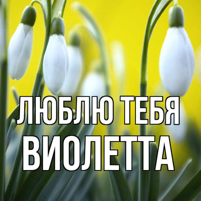 Картинка Люблю тебя, Виолетта