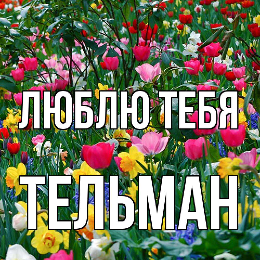 Открытка на каждый день с именем, Тельман Люблю тебя с международным женским днем поздравления для женщины Прикольная открытка с пожеланием онлайн скачать бесплатно 