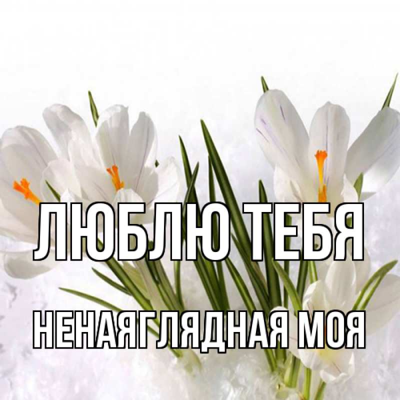 Картинка Люблю тебя, Ненаяглядная моя