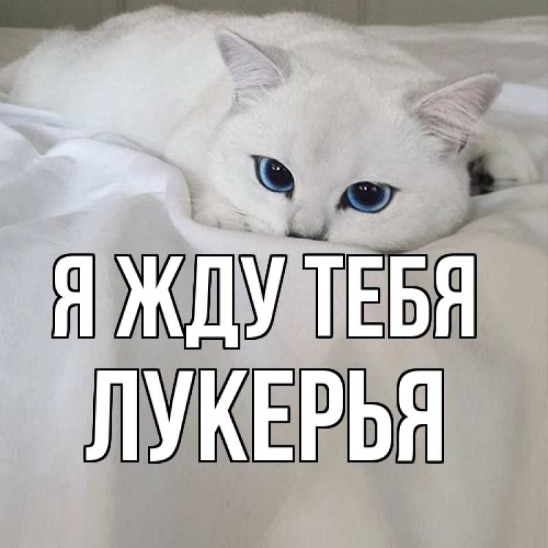 Картинка Я жду тебя, Лукерья