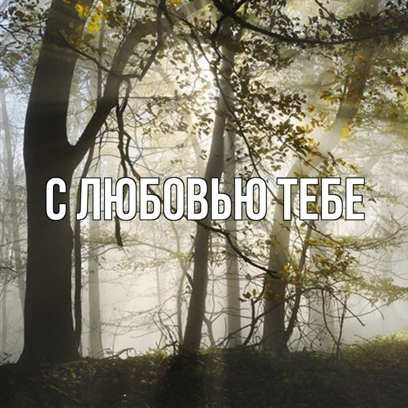 Открытка с именем, Федор, Скучашки