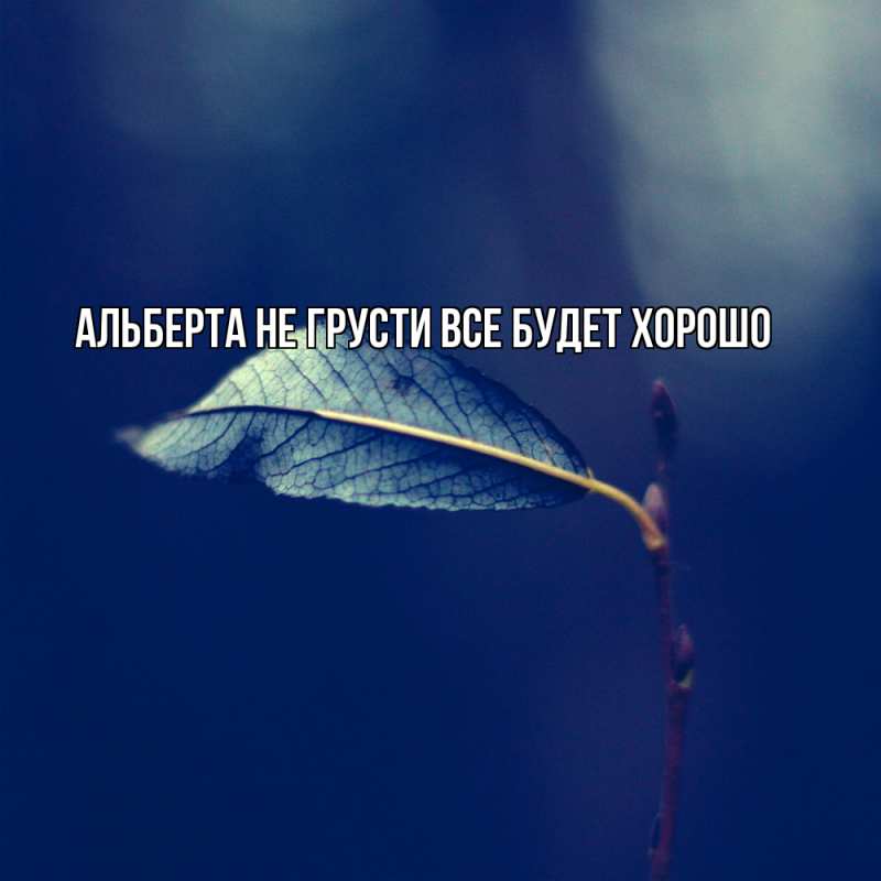 Картинка Не грусти, все будет хорошо, Альберта