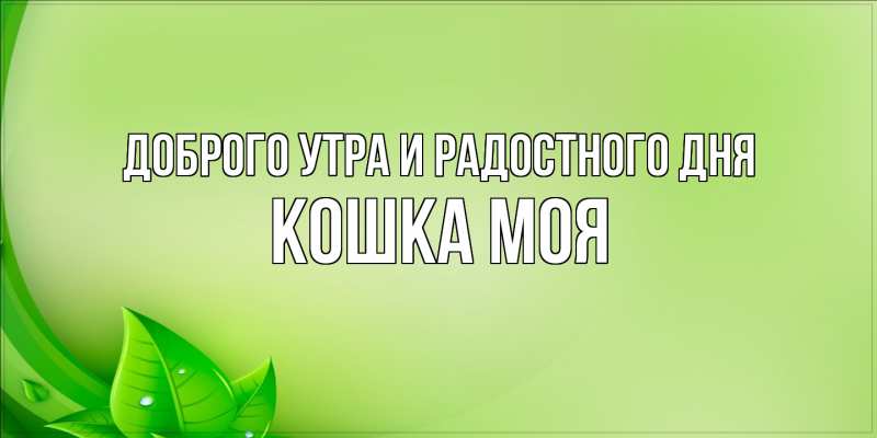 Картинка Доброго утра и радостного дня, Кошка моя