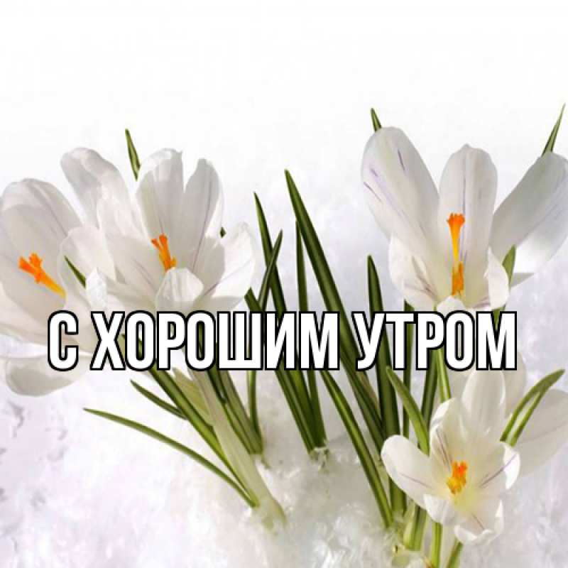 Картинка Люблю тебя, Эдик