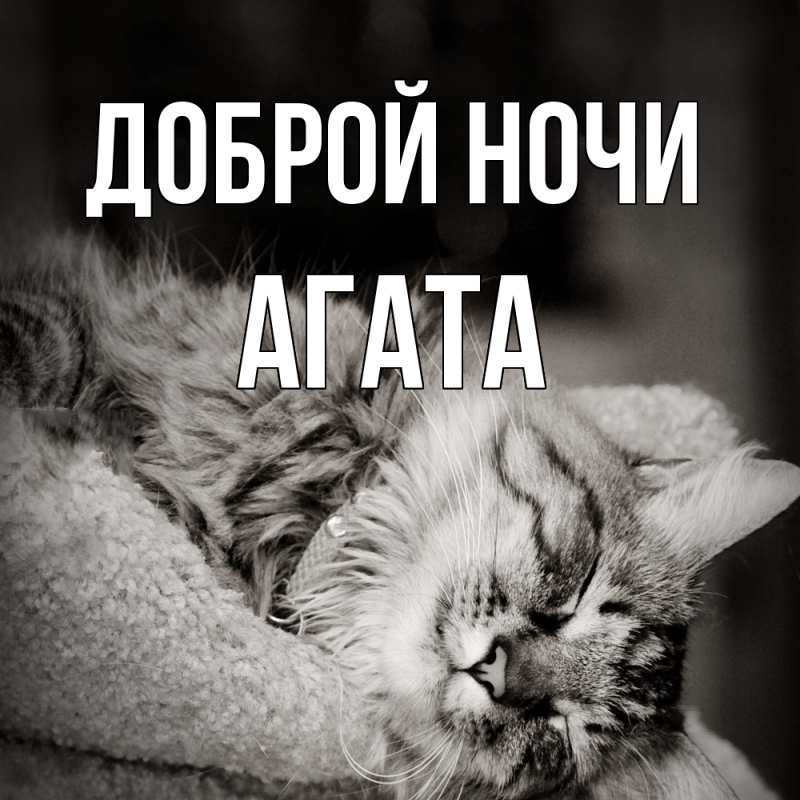 Картинка Доброй ночи, Агата