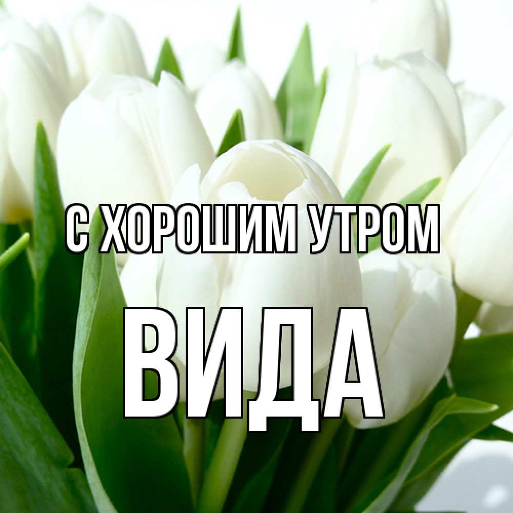 Открытка на каждый день с именем, Вида С хорошим утром открытки на каждый день по именам Прикольная открытка с пожеланием онлайн скачать бесплатно 