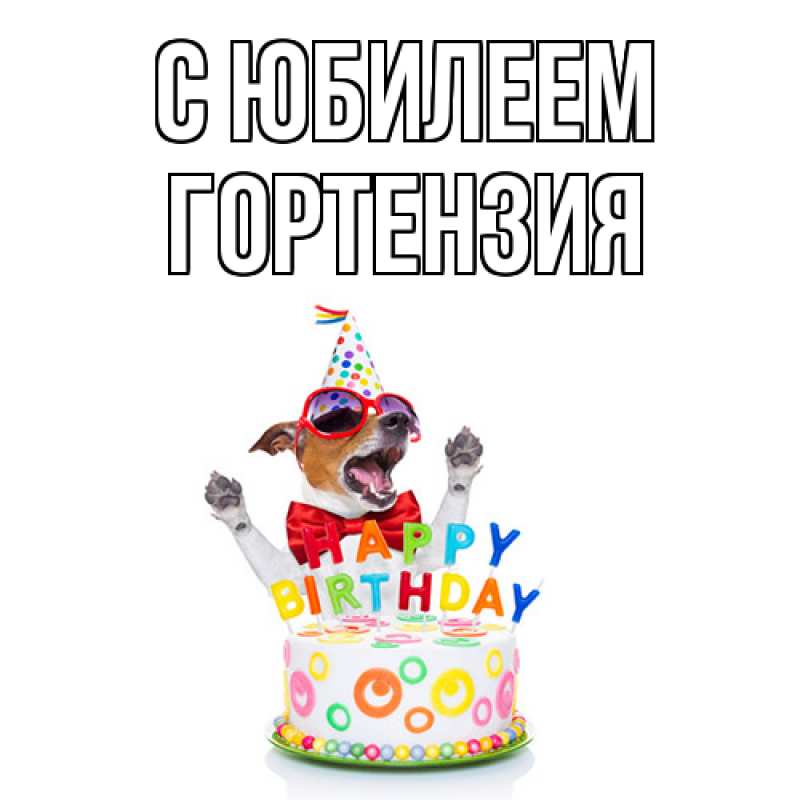 Картинка C юбилеем, Гортензия