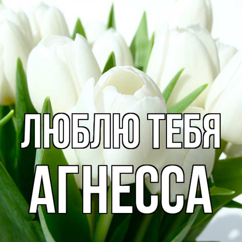 Картинка Люблю тебя, Агнесса