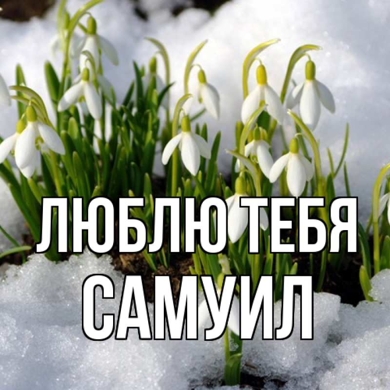 Картинка Люблю тебя, Самуил