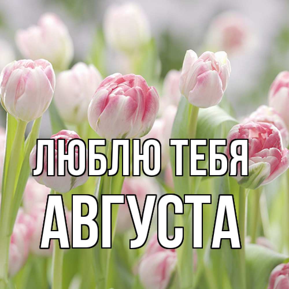 Открытка на каждый день с именем, Августа Люблю тебя цветы Прикольная открытка с пожеланием онлайн скачать бесплатно 