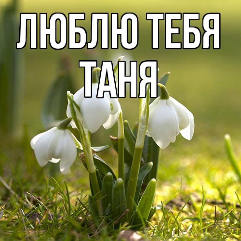 Картинка Люблю тебя, Таня
