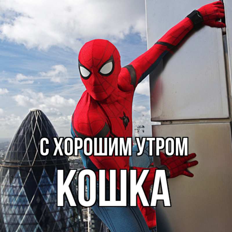 Картинка С хорошим утром, Кошка