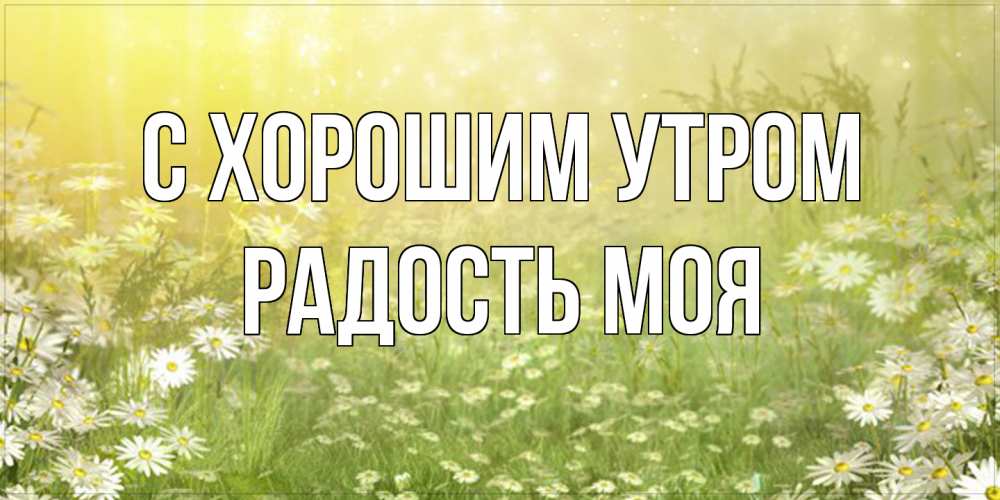 Открытка на каждый день с именем, Радость-моя С хорошим утром доброе утро Прикольная открытка с пожеланием онлайн скачать бесплатно 